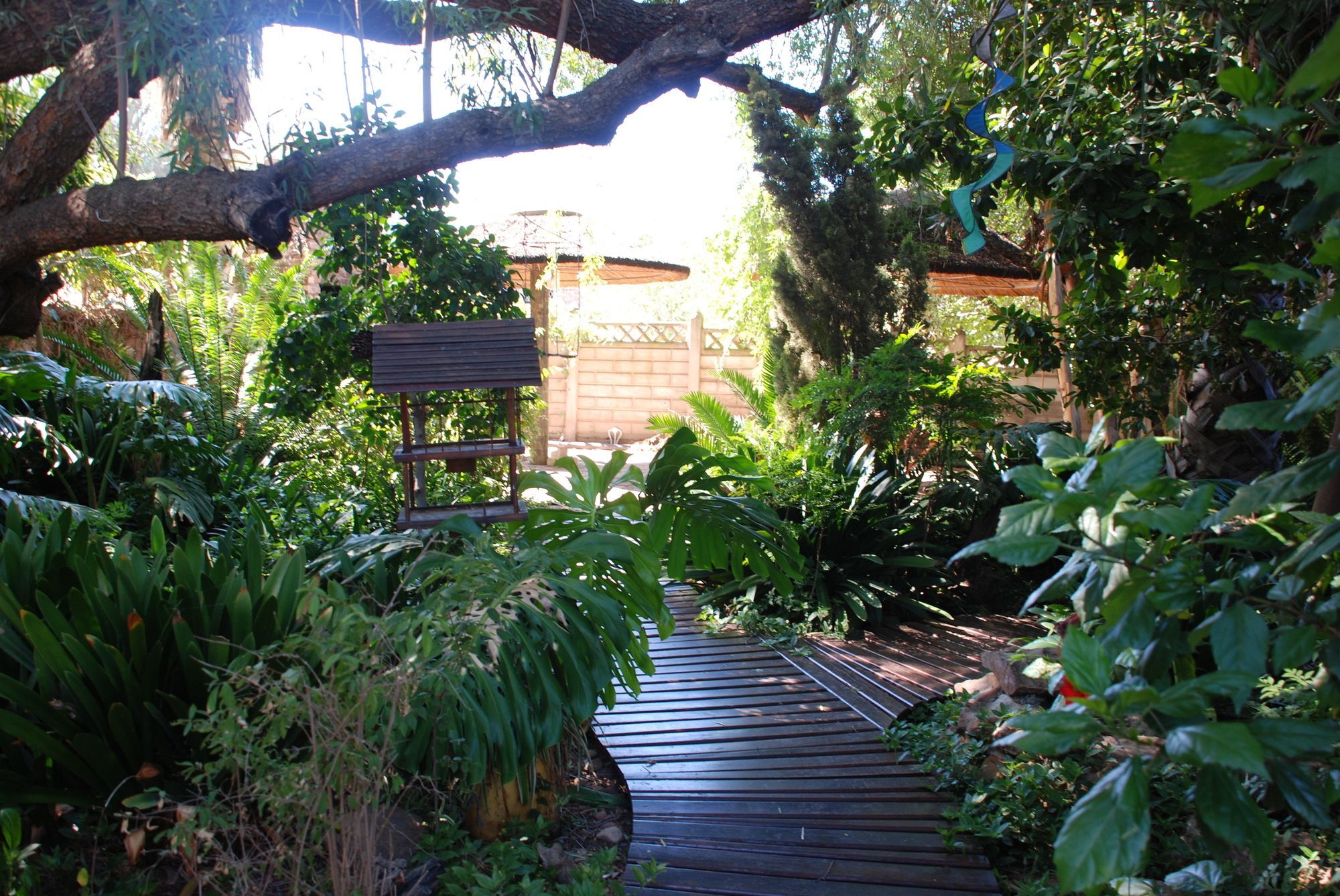 86 On Langenhoven Bed & Breakfast 奥茨胡恩 外观 照片